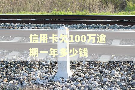 信用卡欠100万逾期一年多少钱