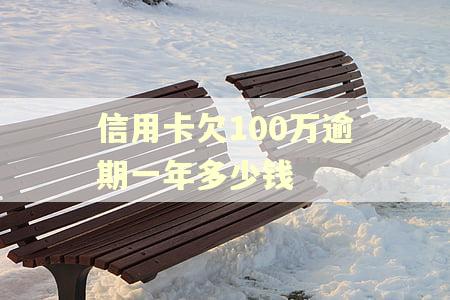 信用卡欠100万逾期一年多少钱 信用卡欠100万逾期一年多少钱