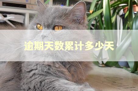 逾期天数累计多少天