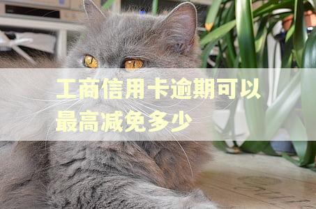 工商信用卡逾期可以最高减免多少 工商信用卡逾期可以最高减免多少