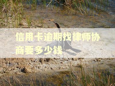 信用卡逾期找律师协商要多少钱