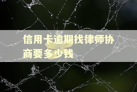 信用卡逾期找律师协商要多少钱