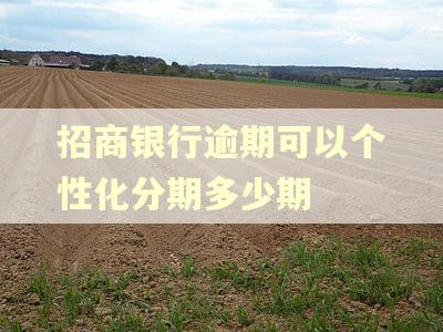 招商银行逾期可以个性化分期多少期