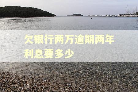 欠银行两万逾期两年利息要多少