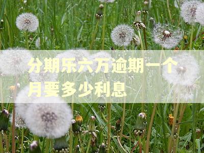 分期乐六万逾期一个月要多少利息