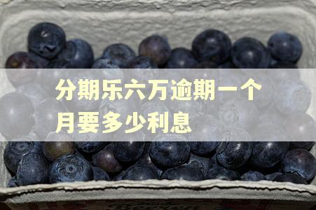 分期乐六万逾期一个月要多少利息