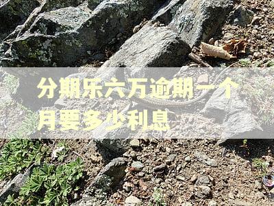 分期乐六万逾期一个月要多少利息