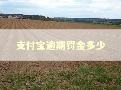 支付宝逾期罚金多少 支付宝逾期罚金多少