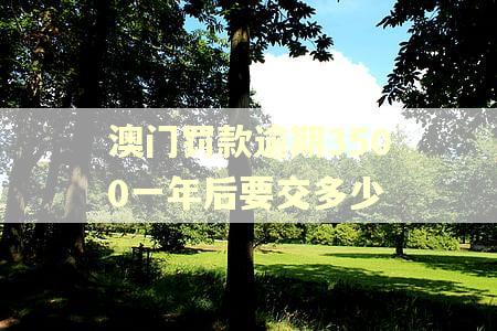 澳门罚款逾期3500一年后要交多少