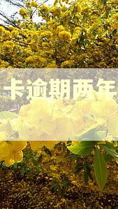 信用卡逾期两年利息多少