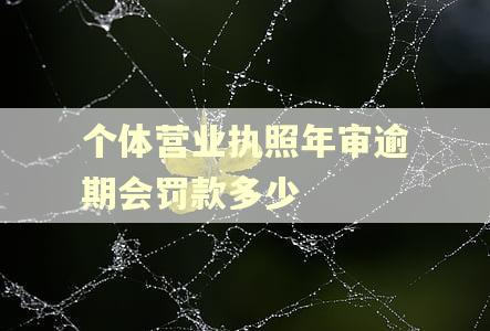 个体营业执照年审逾期会罚款多少