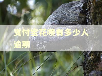 支付宝花呗有多少人逾期
