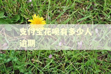 支付宝花呗有多少人逾期