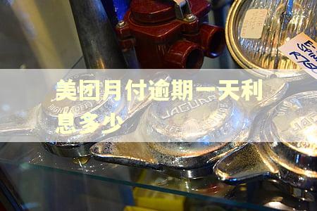 美团月付逾期一天利息多少
