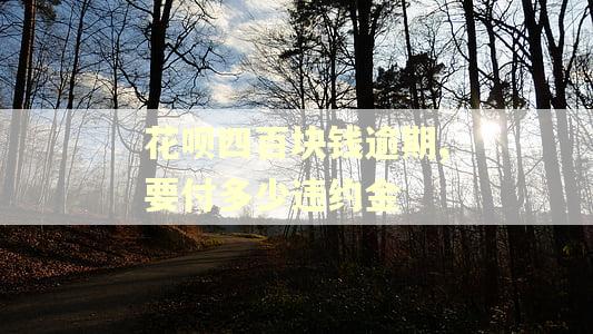 花呗四百块钱逾期,要付多少违约金