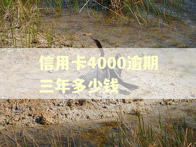 信用卡4000逾期三年多少钱