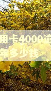 信用卡4000逾期三年多少钱