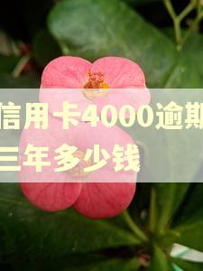 信用卡4000逾期三年多少钱