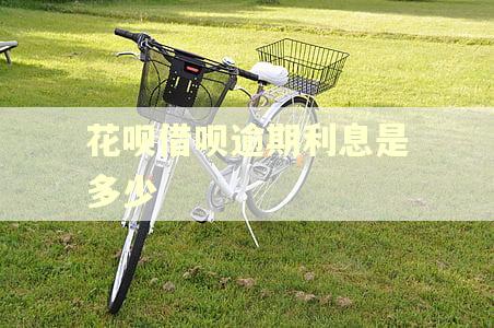 花呗借呗逾期利息是多少