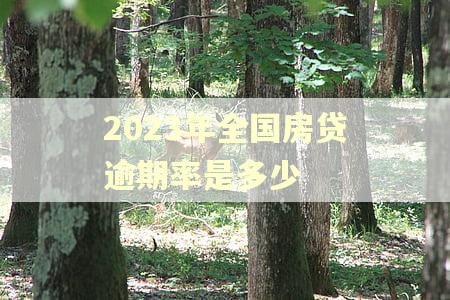 2023年全国房贷逾期率是多少