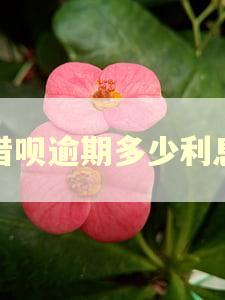 借呗逾期多少利息