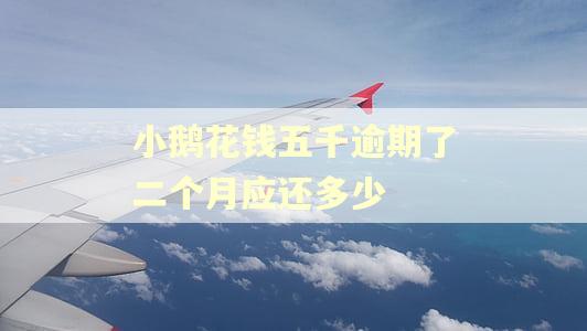 小鹅花钱五千逾期了二个月应还多少