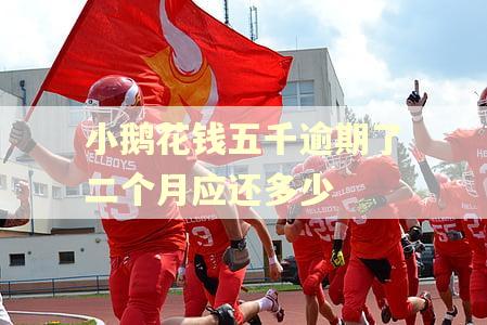 小鹅花钱五千逾期了二个月应还多少 小鹅花钱五千逾期了二个月应还多少