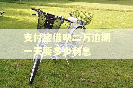 支付宝借呗二万逾期一天要多少利息
