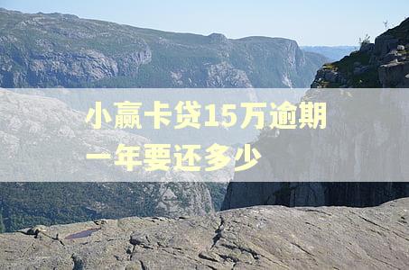 小赢卡贷15万逾期一年要还多少