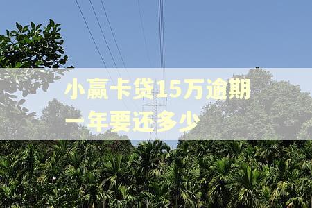 小赢卡贷15万逾期一年要还多少