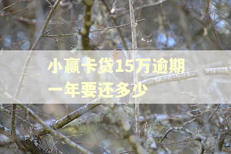 小赢卡贷15万逾期一年要还多少 小赢卡贷15万逾期一年要还多少