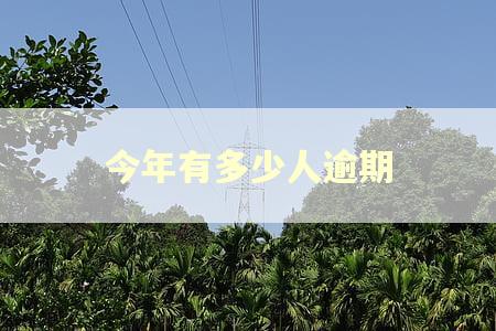 今年有多少人逾期