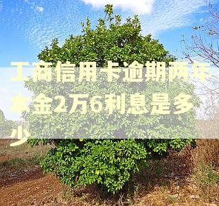 工商信用卡逾期两年本金2万6利息是多少 工商信用卡逾期两年本金2万6利息是多少