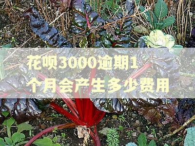 花呗3000逾期1个月会产生多少费用 花呗3000逾期1个月会产生多少费用