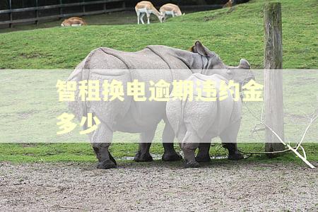 智租换电逾期违约金多少