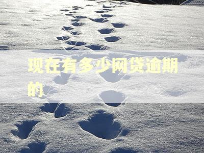 现在有多少网贷逾期的