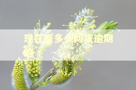 现在有多少网贷逾期的 现在有多少网贷逾期的