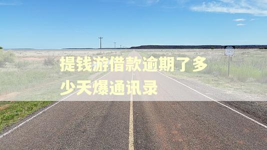 提钱游借款逾期了多少天爆通讯录