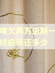 借呗欠两万逾期一年最终应该还多少