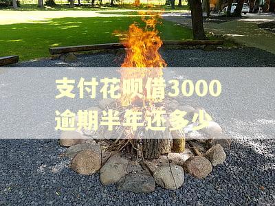 支付花呗借3000逾期半年还多少