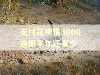 支付花呗借3000逾期半年还多少 支付花呗借3000逾期半年还多少