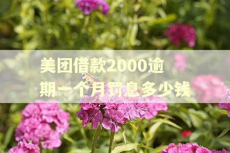 美团借款2000逾期一个月罚息多少钱