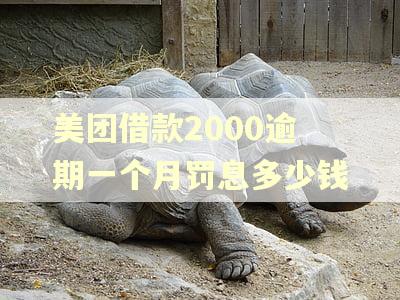 美团借款2000逾期一个月罚息多少钱