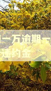 美团一万逾期一天要多少违约金