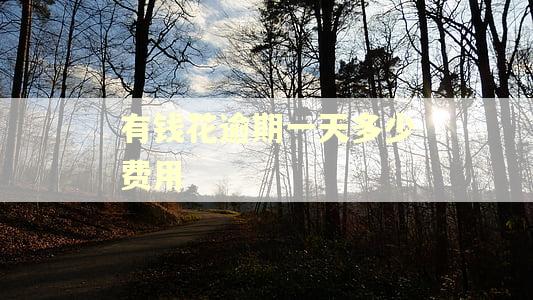 有钱花逾期一天多少费用