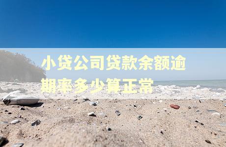 小贷公司贷款余额逾期率多少算正常