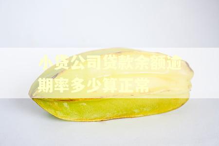 小贷公司贷款余额逾期率多少算正常