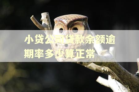 小贷公司贷款余额逾期率多少算正常 小贷公司贷款余额逾期率多少算正常