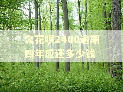 欠花呗2400逾期四年应还多少钱