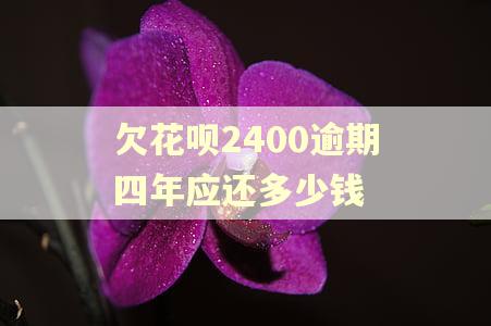欠花呗2400逾期四年应还多少钱